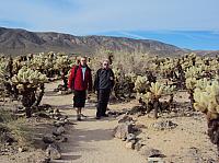 joshua tree (3) (Copier).JPG